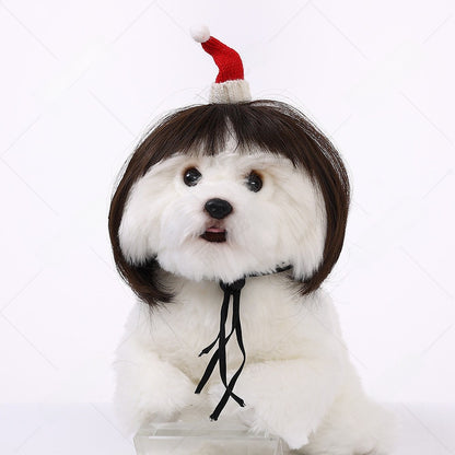 Pet Costume Wig