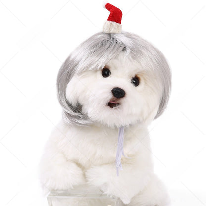 Pet Costume Wig