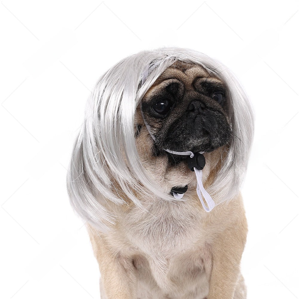 Pet Costume Wig