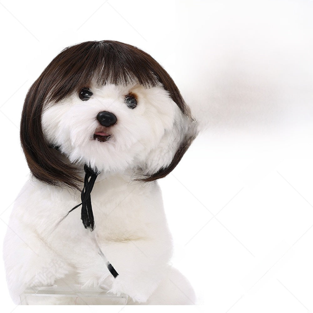 Pet Costume Wig