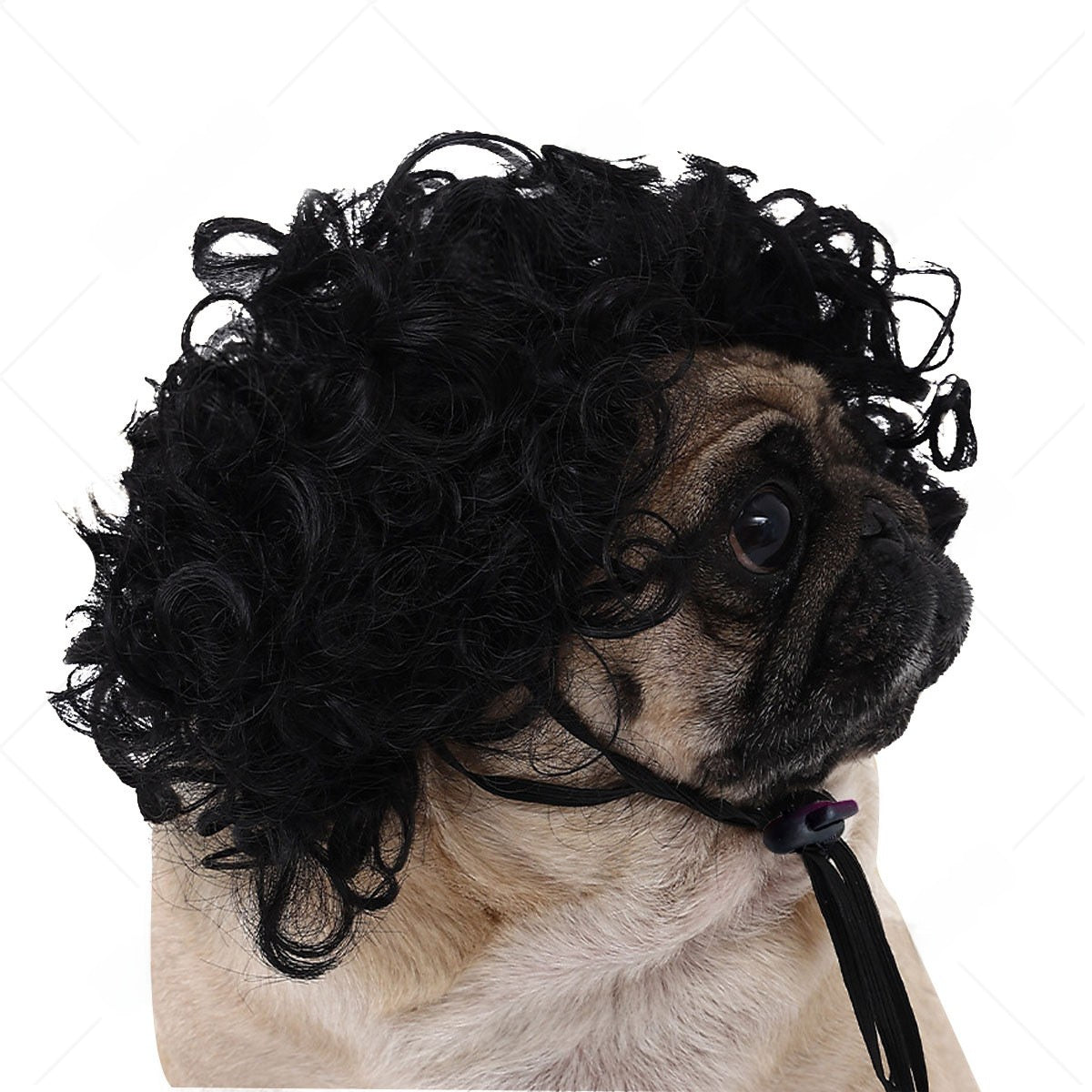 Pet Costume Wig
