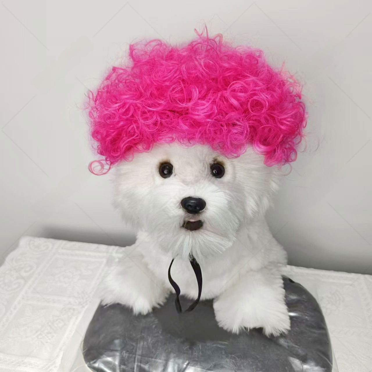 Pet Costume Wig