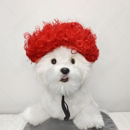 Pet Costume Wig