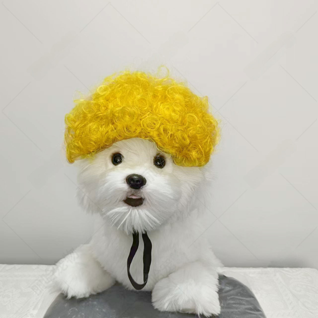 Pet Costume Wig