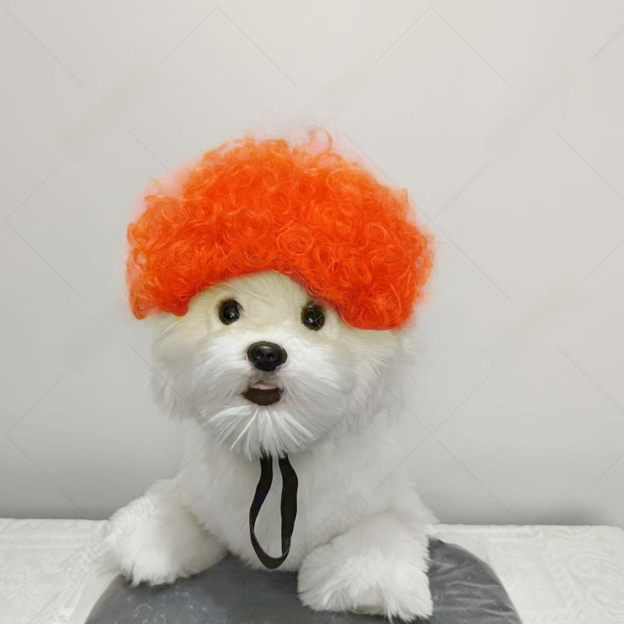 Pet Costume Wig