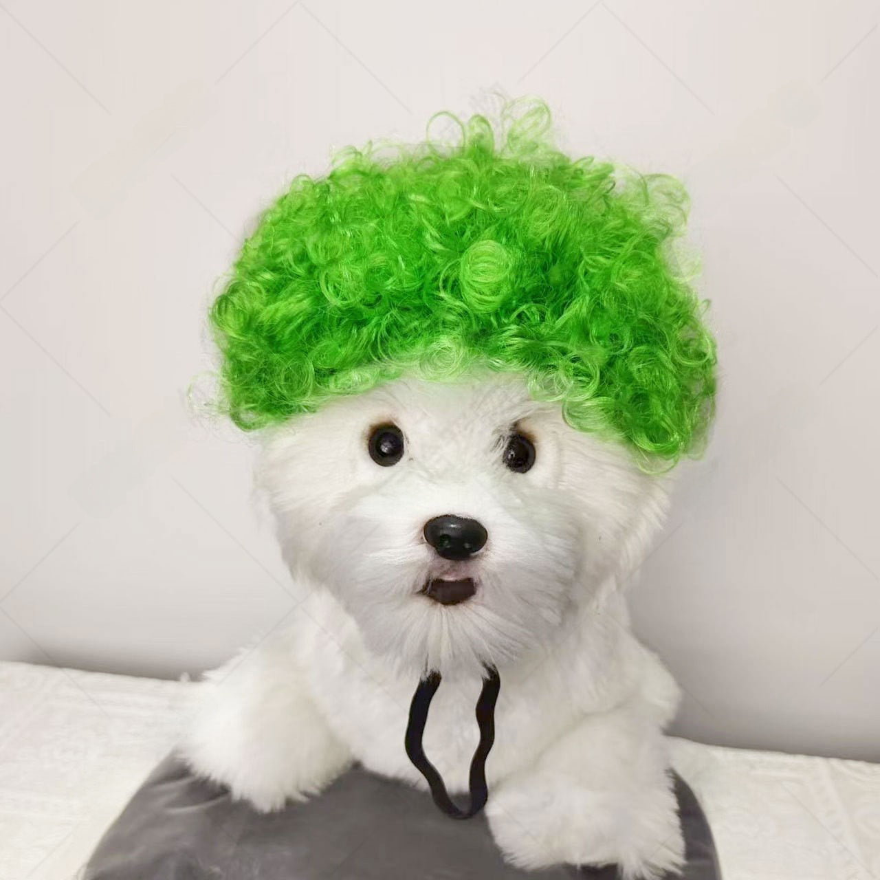 Pet Costume Wig