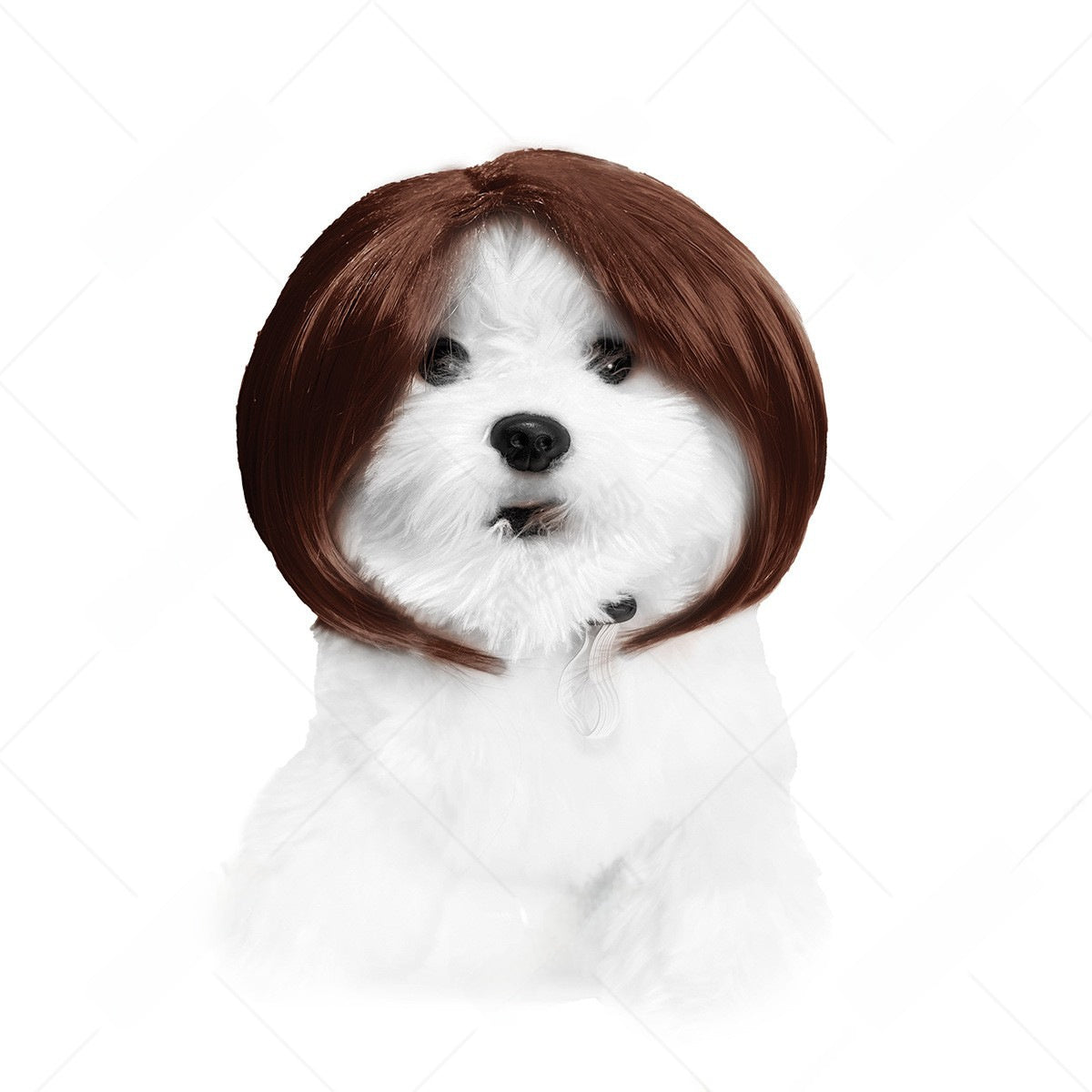 Pet Costume Wig