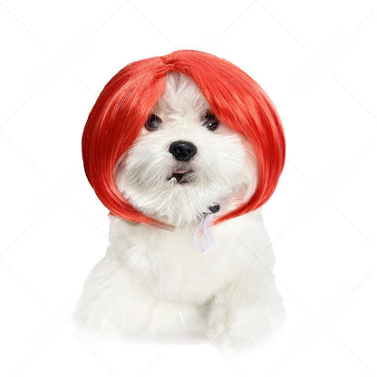 Pet Costume Wig