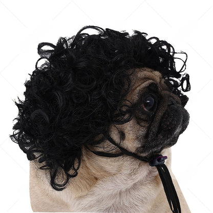 Pet Costume Wig