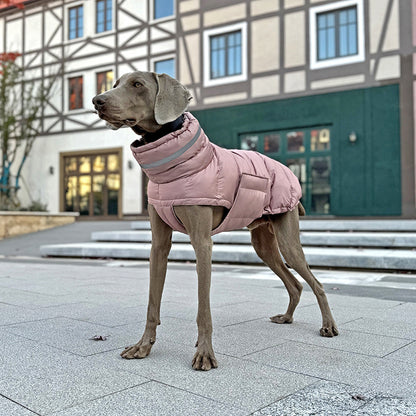Pet cotton coat
