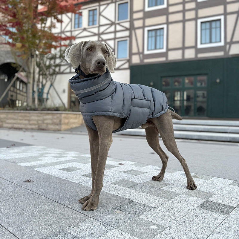 Pet cotton coat