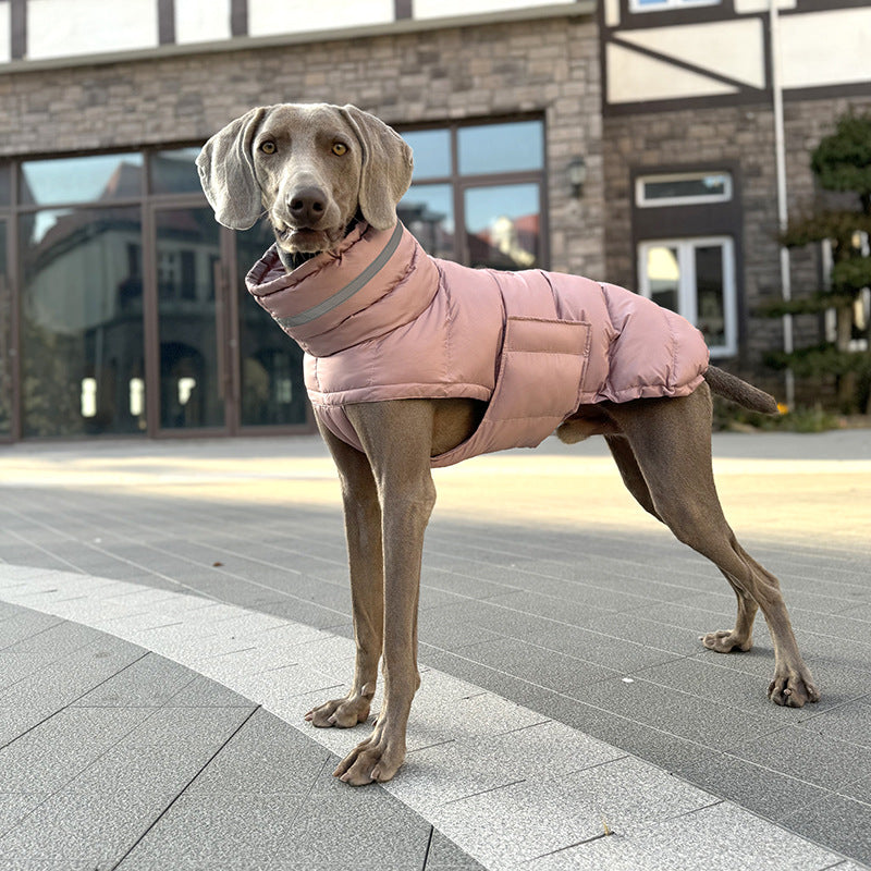 Pet cotton coat