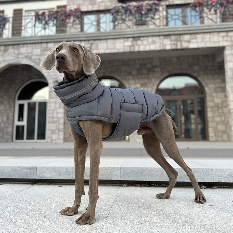 Pet cotton coat