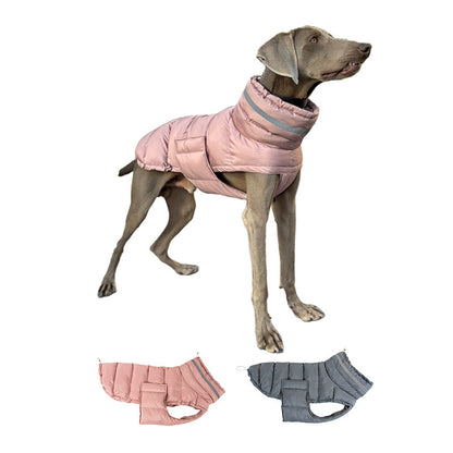 Pet cotton coat