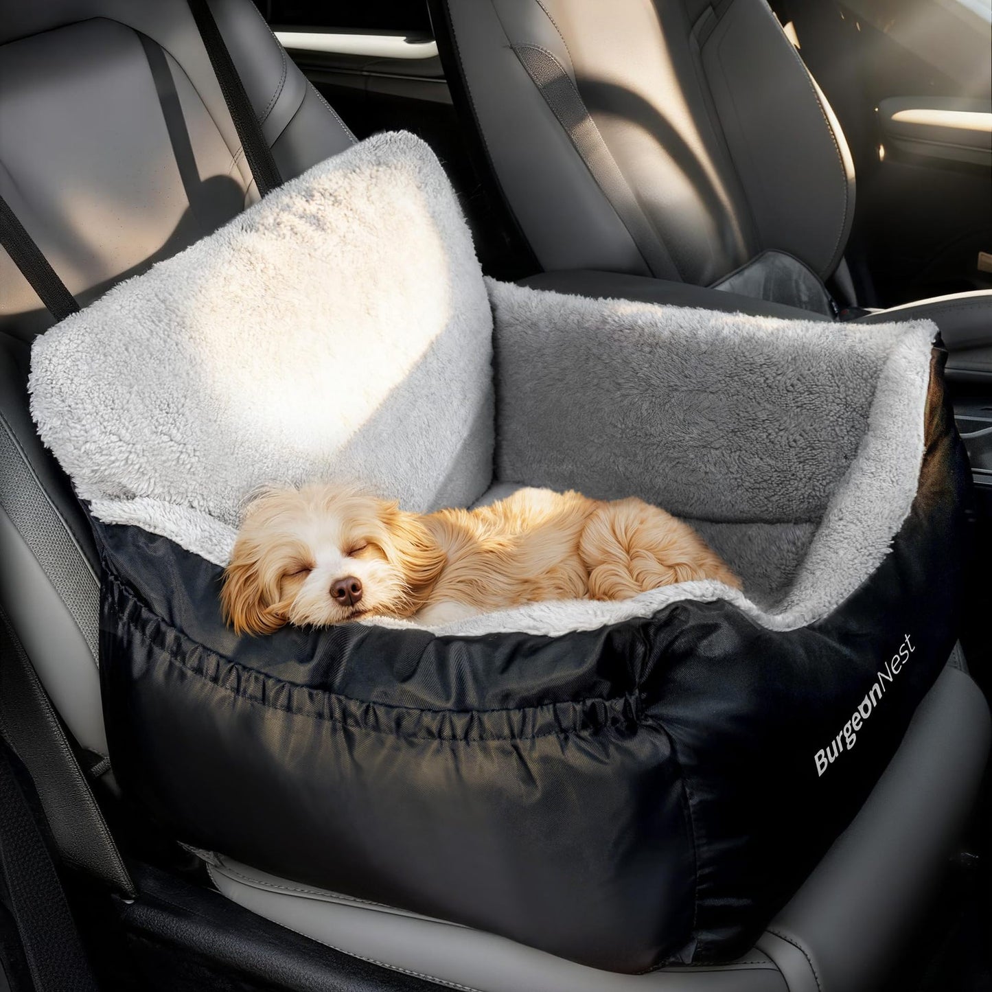 Pet Cushion Bed