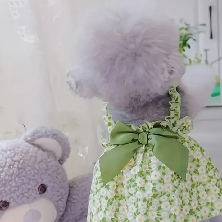 Pet Daisy Shoulder Strap Dress