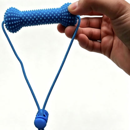 Pet dental chew stick