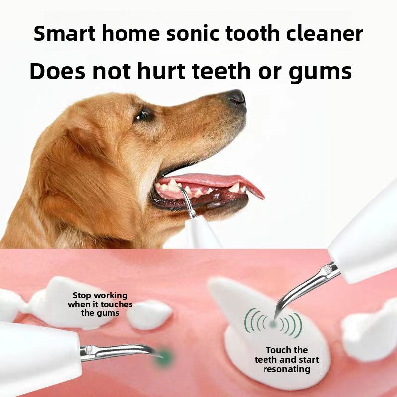pet dental cleaner