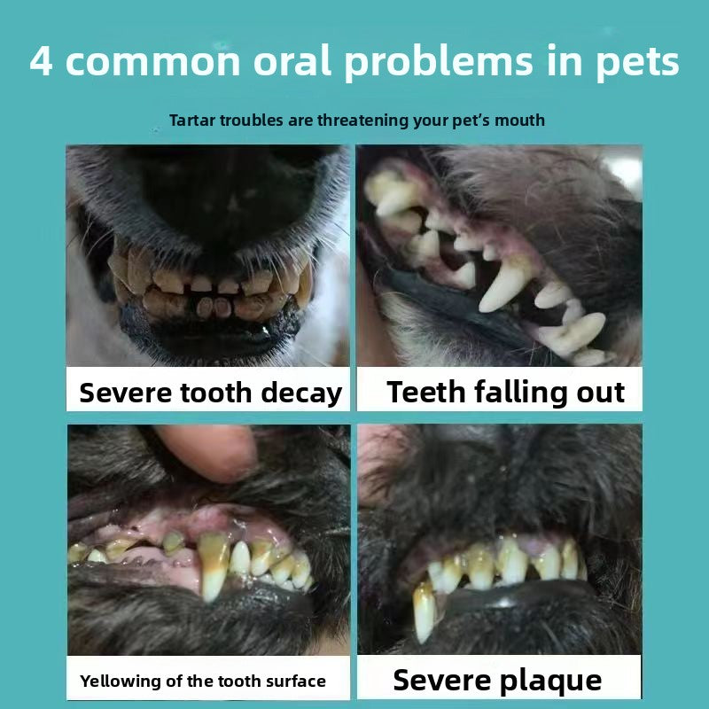 pet dental cleaner