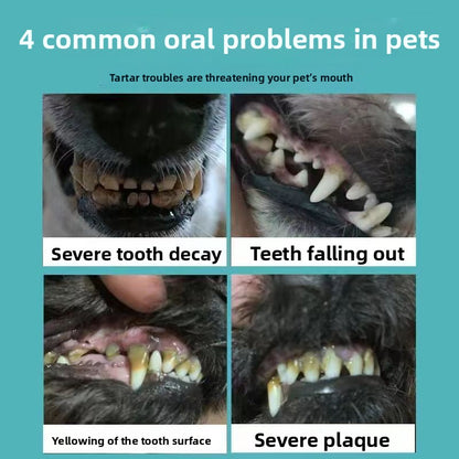pet dental cleaner
