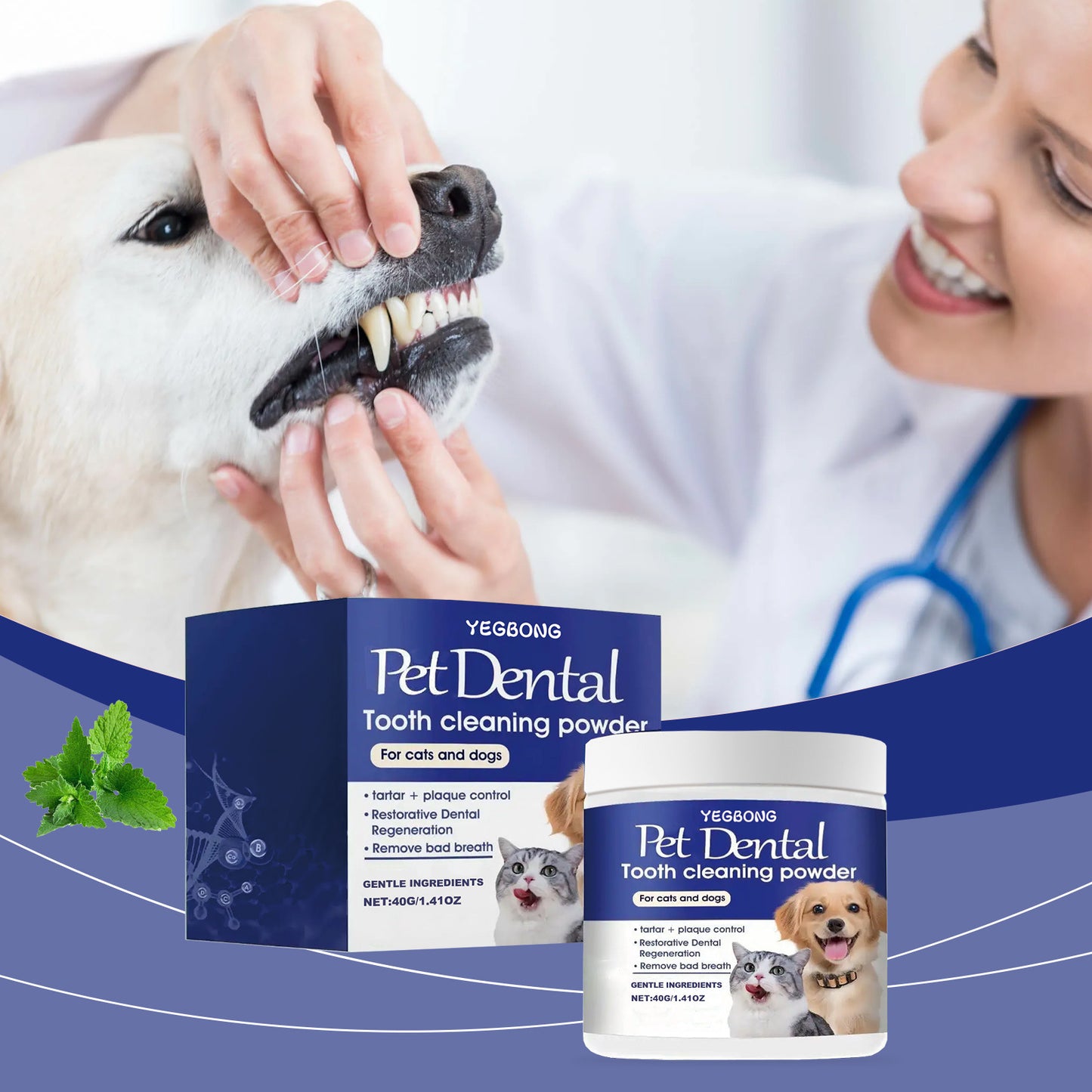 Pet dental powder