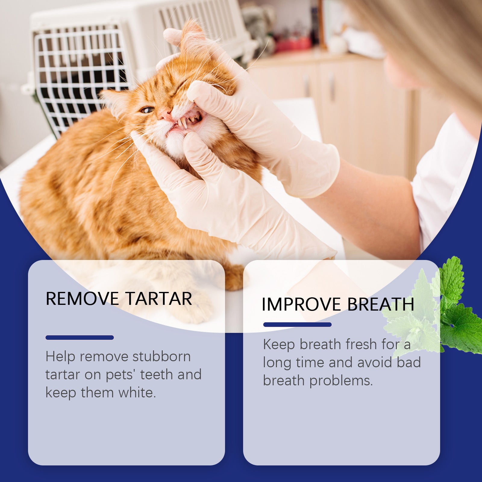 Pet dental powder