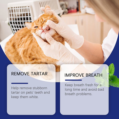 Pet dental powder