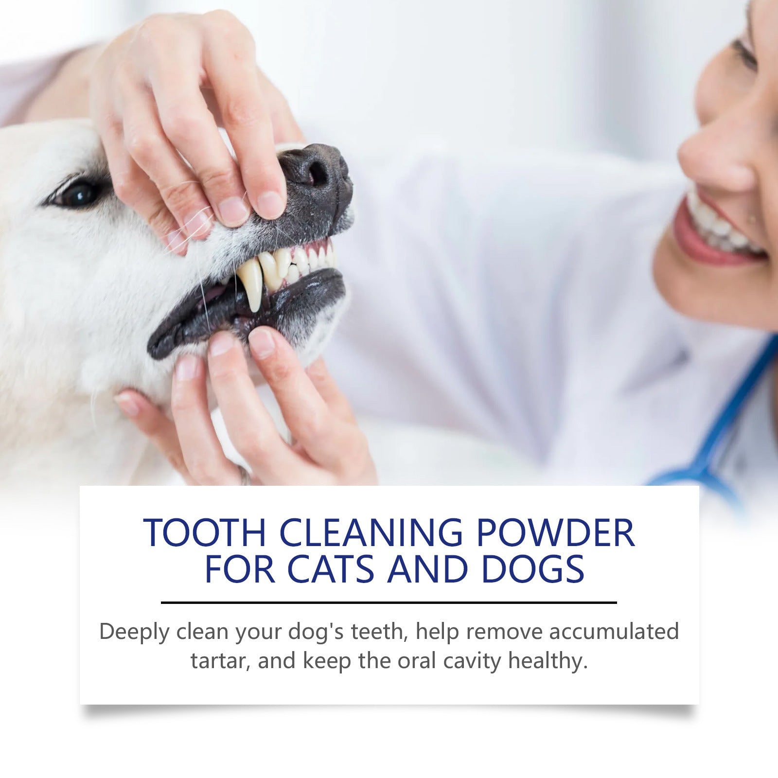 Pet dental powder