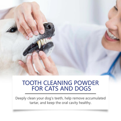 Pet dental powder