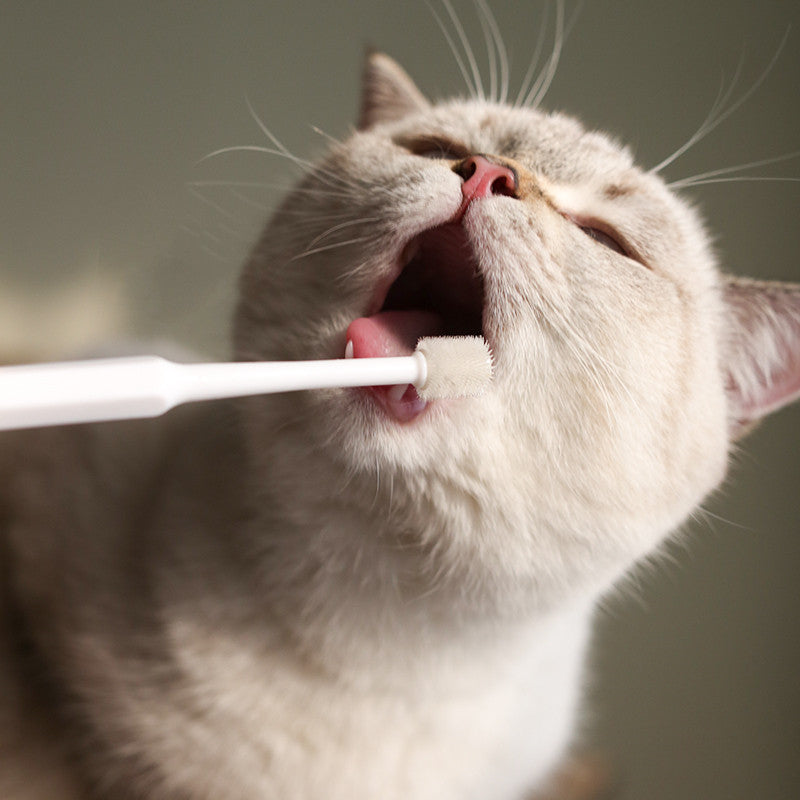 Pet Dental Toothbrush