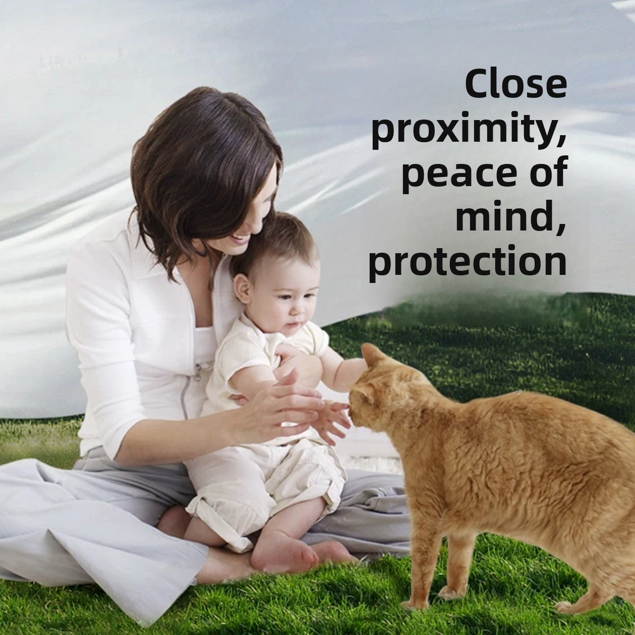 Pet deodorizing spray