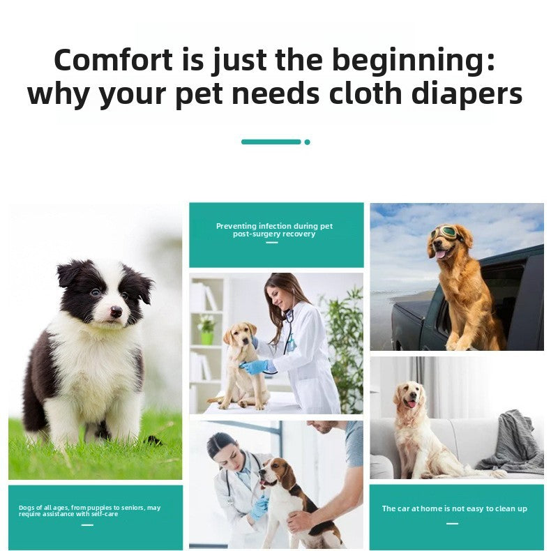Pet Diaper