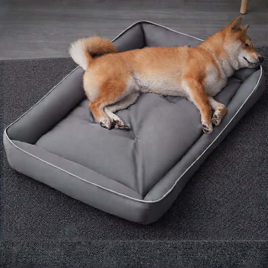Pet dog bed
