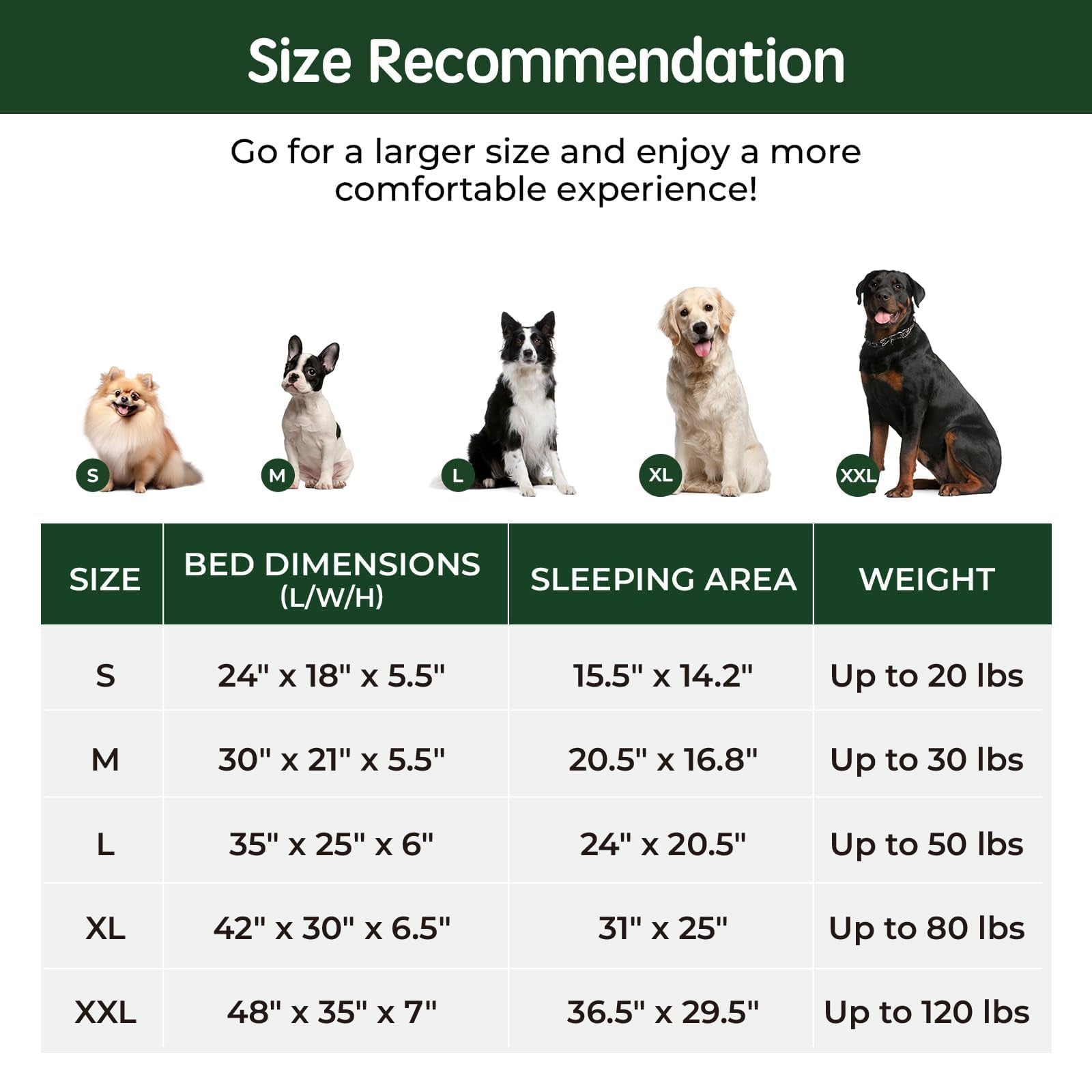Pet Dog Bed