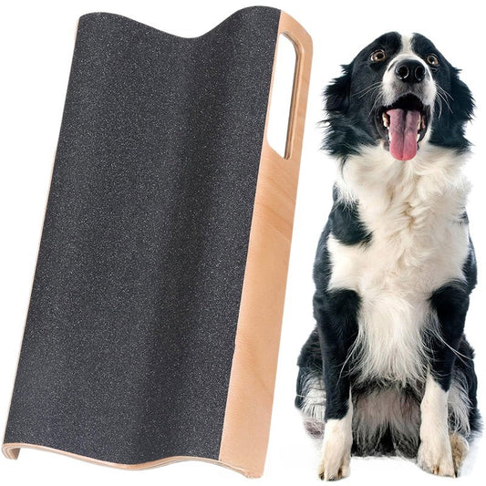 Pet dog catch board