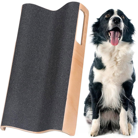 Pet dog catch board