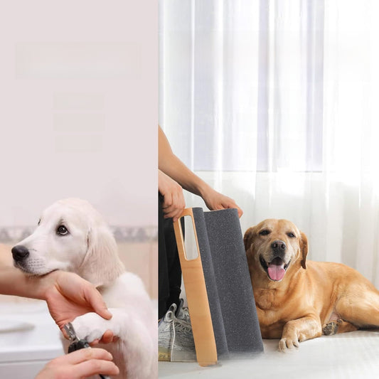Pet dog catch board