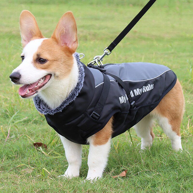 Pet Dog Clothes Autumn and Winter Dog Winter Warm Medium and Large Dog Corgi Autumn and Winter Fleece-Lined Thickeneded Non-Stick Wool Cotton Clothes