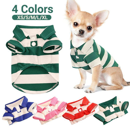 Pet dog clothes