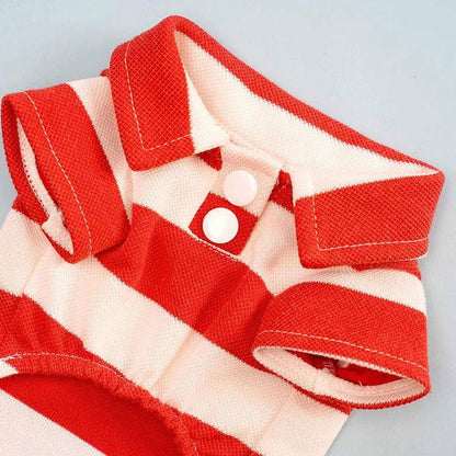 Pet dog clothes