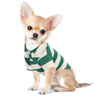 Pet dog clothes