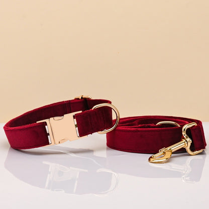Pet Dog Collar