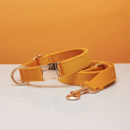 Pet Dog Collar
