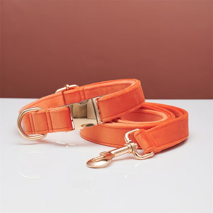 Pet Dog Collar