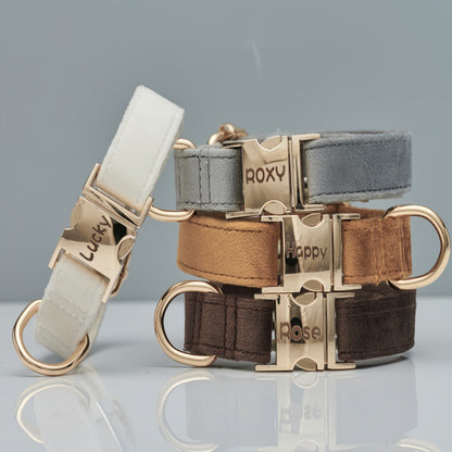 Pet Dog Collar