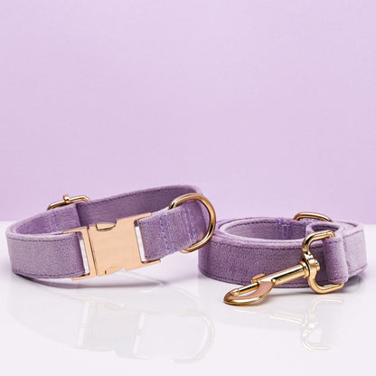 Pet Dog Collar