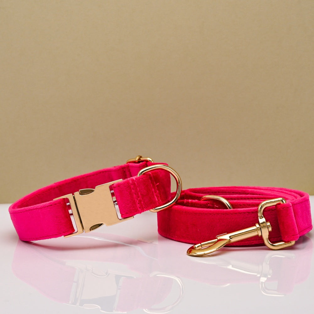 Pet Dog Collar