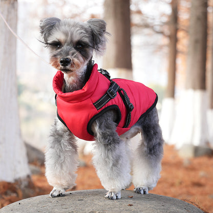 pet dog jacket