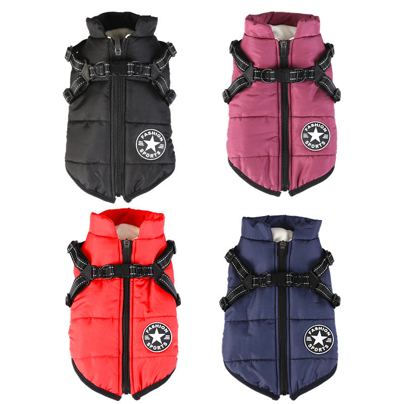 pet dog jacket