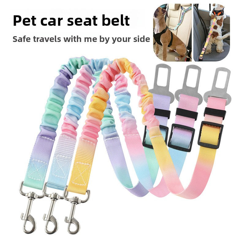 Pet dog leash